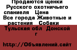 Продаются щенки Русского охотничьего спаниеля › Цена ­ 25 000 - Все города Животные и растения » Собаки   . Тульская обл.,Донской г.